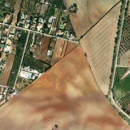 Satellite imagery of survey_point, DZ