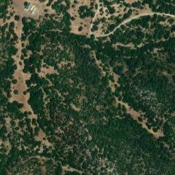 Satellite imagery of survey_point, DZ