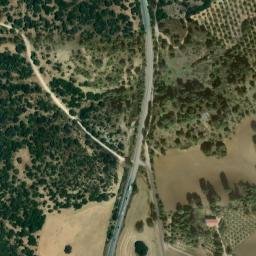 Satellite imagery of survey_point, DZ