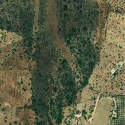 Satellite imagery of survey_point, DZ
