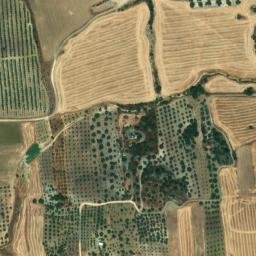 Satellite imagery of survey_point, DZ