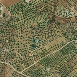 Satellite imagery of survey_point, DZ