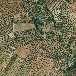 Satellite imagery of survey_point, DZ