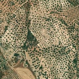Satellite imagery of survey_point, DZ