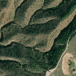 Satellite imagery of survey_point, DZ