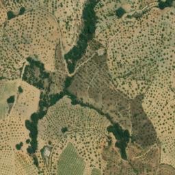 Satellite imagery of survey_point, DZ
