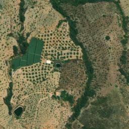 Satellite imagery of survey_point, DZ