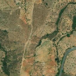 Satellite imagery of survey_point, DZ