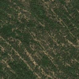Satellite imagery of Rhoumd Djeribi, DZ