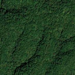 Satellite imagery of Chestnut Flat Ridge, US