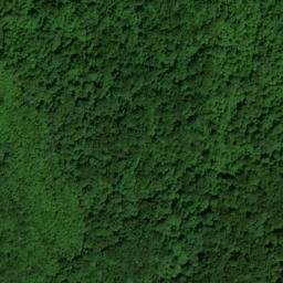 Satellite imagery of Grassy Gap Ridge, US