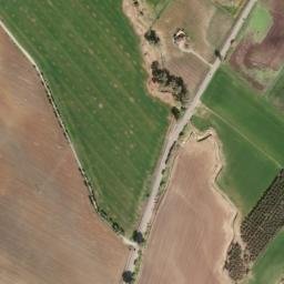 Satellite imagery of survey_point, DZ
