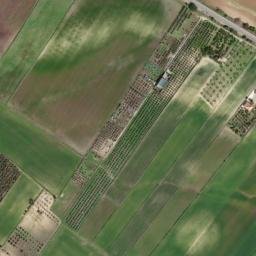 Satellite imagery of survey_point, DZ