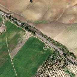 Satellite imagery of survey_point, DZ