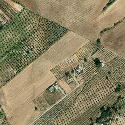 Satellite imagery of survey_point, DZ