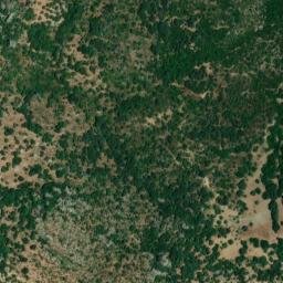 Satellite imagery of survey_point, DZ