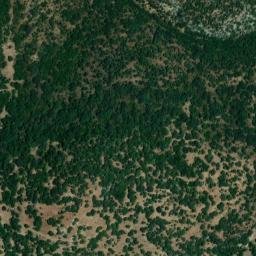 Satellite imagery of survey_point, DZ