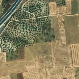 Satellite imagery of survey_point, DZ