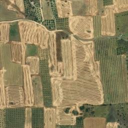 Satellite imagery of survey_point, DZ