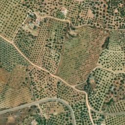 Satellite imagery of survey_point, DZ