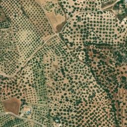 Satellite imagery of survey_point, DZ