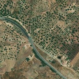 Satellite imagery of survey_point, DZ