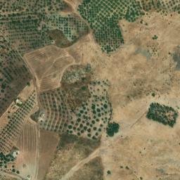 Satellite imagery of survey_point, DZ
