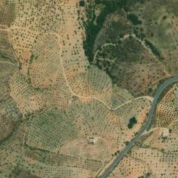 Satellite imagery of survey_point, DZ