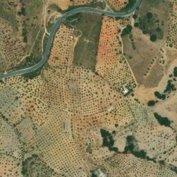 Satellite imagery of survey_point, DZ