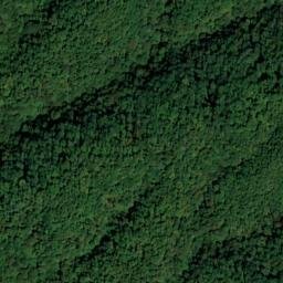 Satellite imagery of Chestnut Flat Ridge, US