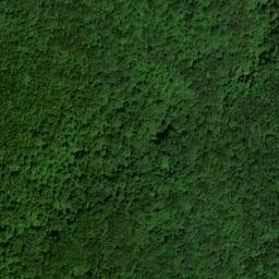 Satellite imagery of Grassy Gap Ridge, US