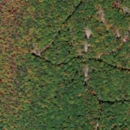 Satellite imagery of Piney Ridge, US