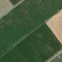 Satellite imagery of survey_point, DZ
