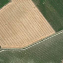 Satellite imagery of survey_point, DZ