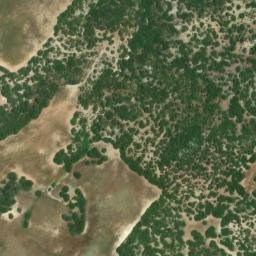 Satellite imagery of survey_point, DZ