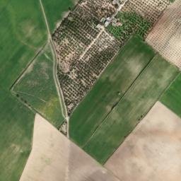 Satellite imagery of survey_point, DZ