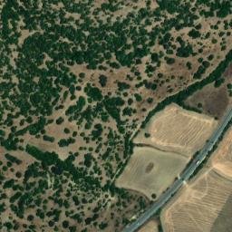 Satellite imagery of survey_point, DZ