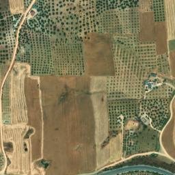 Satellite imagery of survey_point, DZ
