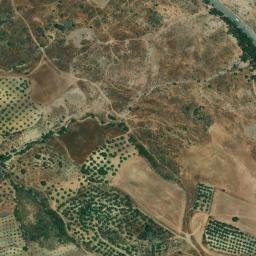 Satellite imagery of survey_point, DZ