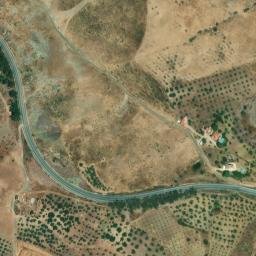 Satellite imagery of survey_point, DZ