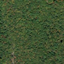 Satellite imagery of Piney Ridge, US