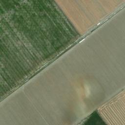 Satellite imagery of survey_point, DZ