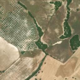 Satellite imagery of survey_point, DZ