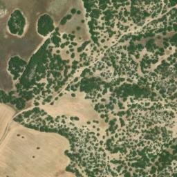 Satellite imagery of survey_point, DZ