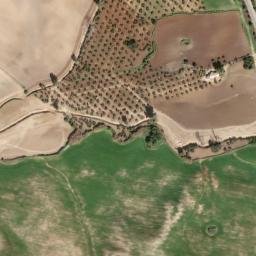 Satellite imagery of survey_point, DZ
