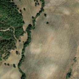 Satellite imagery of survey_point, DZ