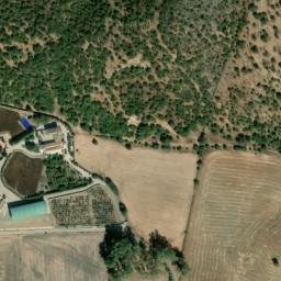 Satellite imagery of survey_point, DZ