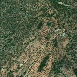 Satellite imagery of survey_point, DZ