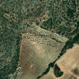 Satellite imagery of survey_point, DZ