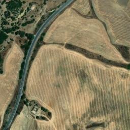 Satellite imagery of survey_point, DZ